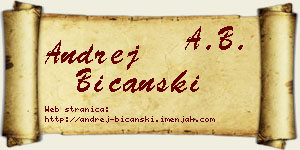 Andrej Bičanski vizit kartica